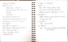Notes from Scrapbook